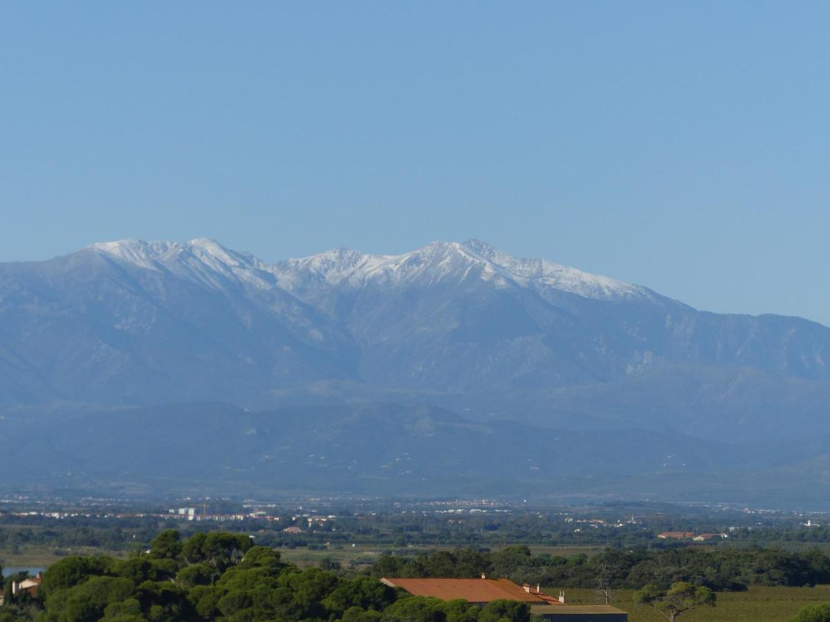 Albatros Διαμέρισμα Canet-en-Roussillon Εξωτερικό φωτογραφία